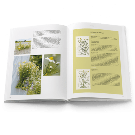 Buch Mit der Sprache der Blumen Innenansicht